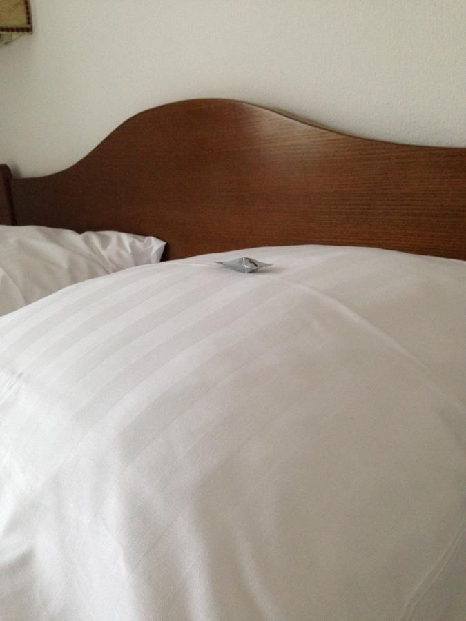 Goldene Rose Aparthotel Ebersbach an der Fils ภายนอก รูปภาพ